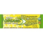 Organic Food Bar Organic Fiber Chocolate Delight - Case of 12 - 1.76 oz